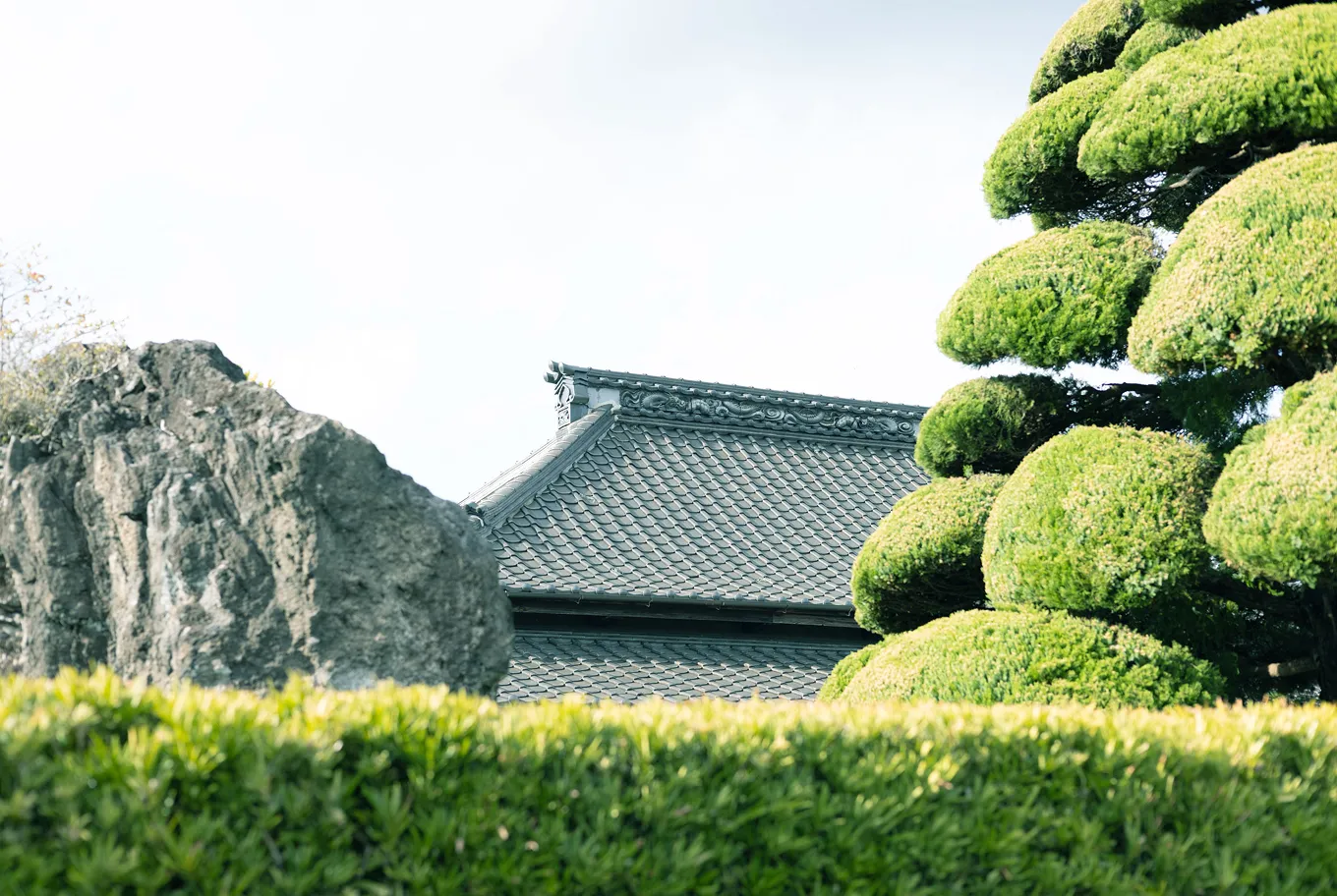 西福寺の伽藍の遠景